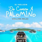 De Camino A Palomino, Vol. 1