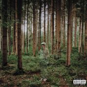 Album I Love You, I’m Trying de ​grandson