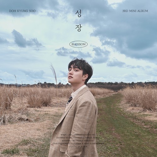 성장 (Blossom)