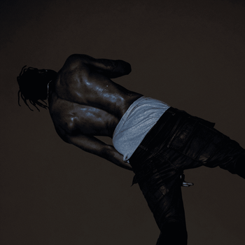 Album DAYS BEFORE RODEO (VAULT DELUXE) de Travis Scott