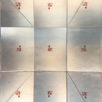 Album Gigante de Leiva