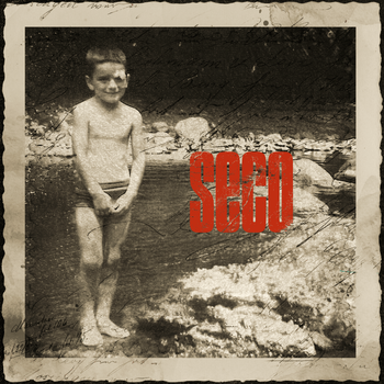 Album SECO de Ricardo Arjona