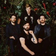 Foals