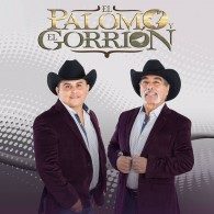 El Palomo y El Gorrión