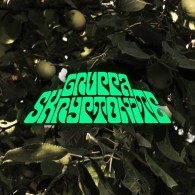 Gruppa Skryptonite