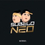 Súbelo Neo