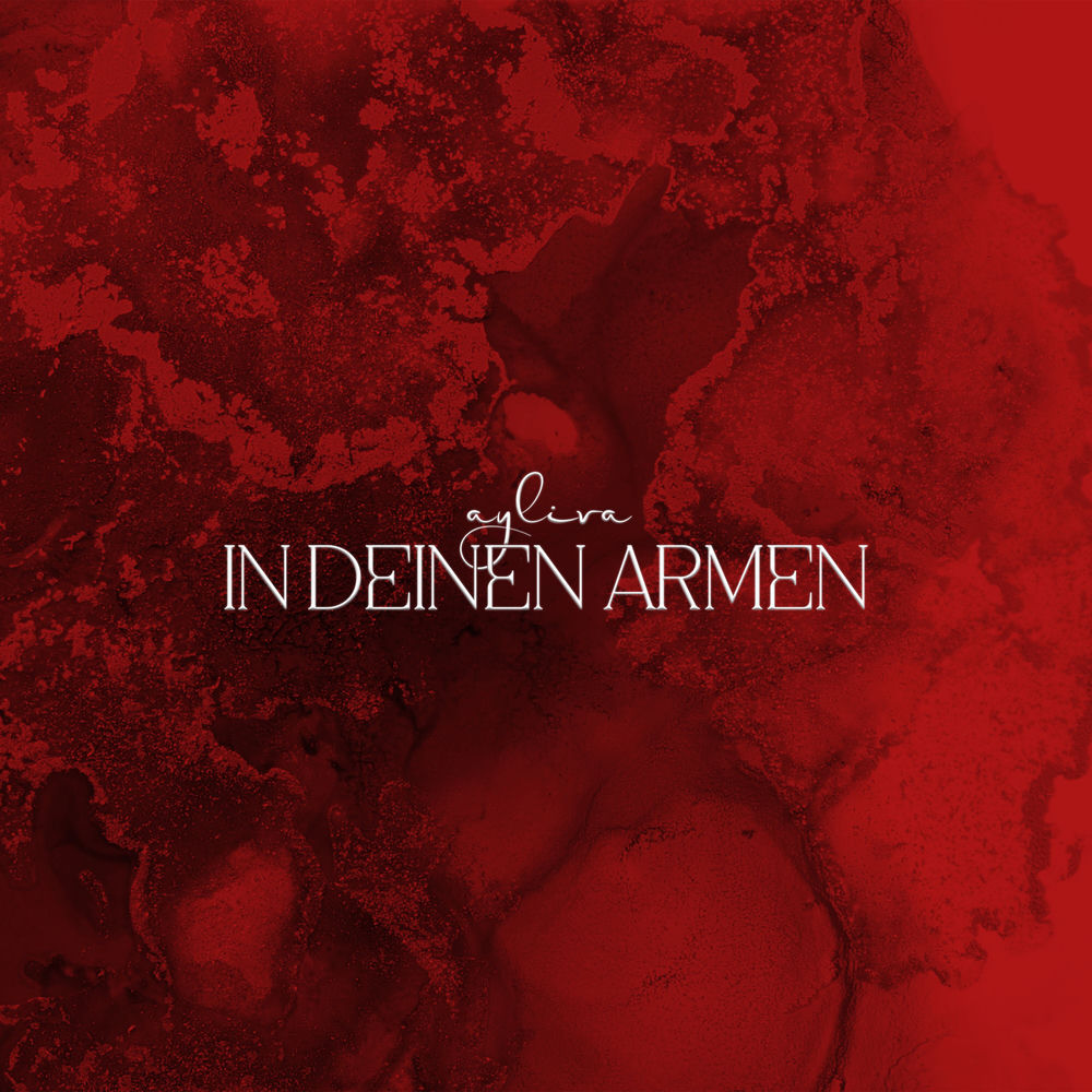 Portada de In deinen Armen