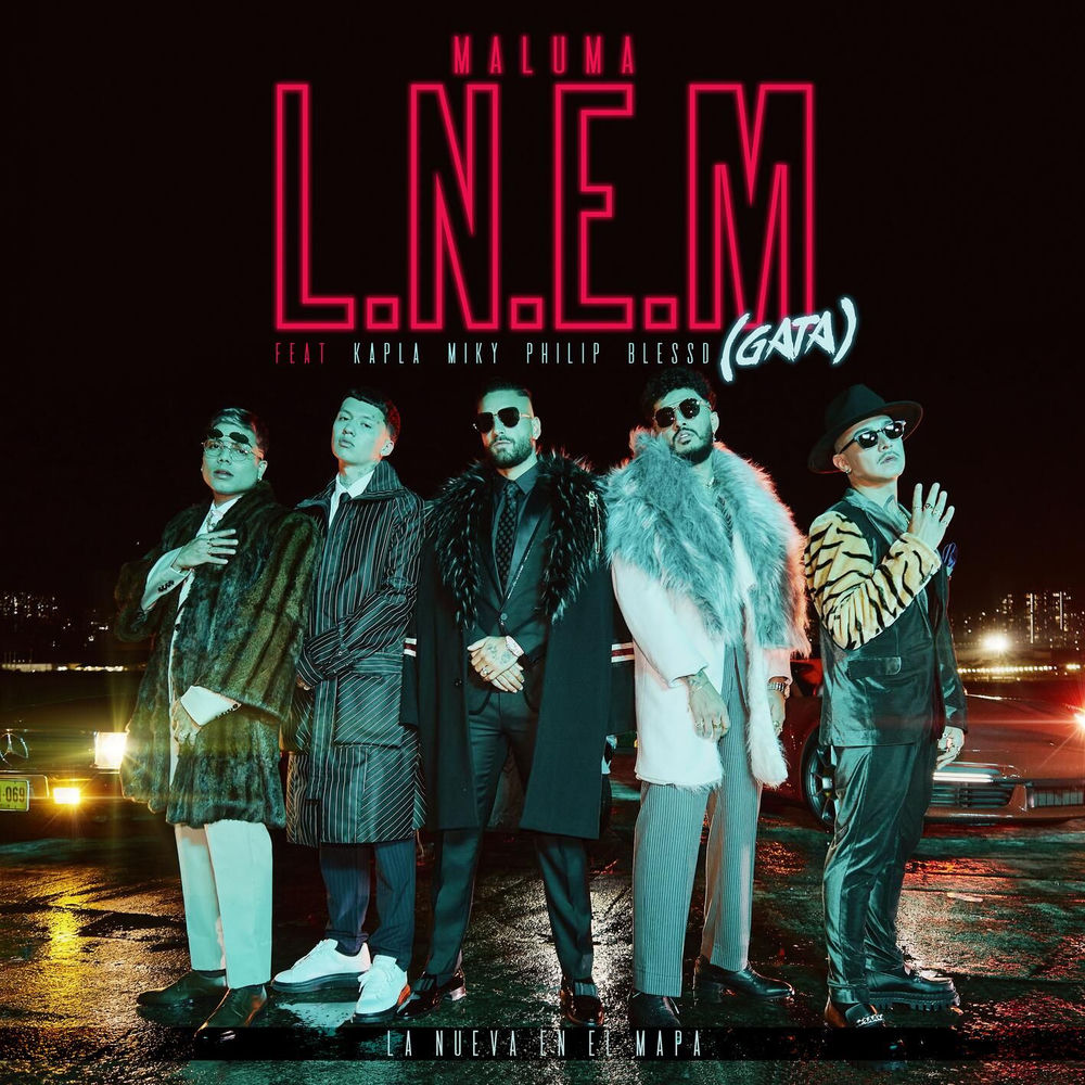 Portada de L.N.E.M. (GATA)
