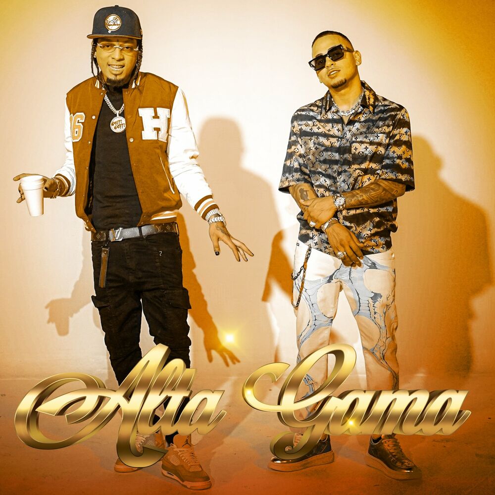 Portada de Alta Gama (Remix)