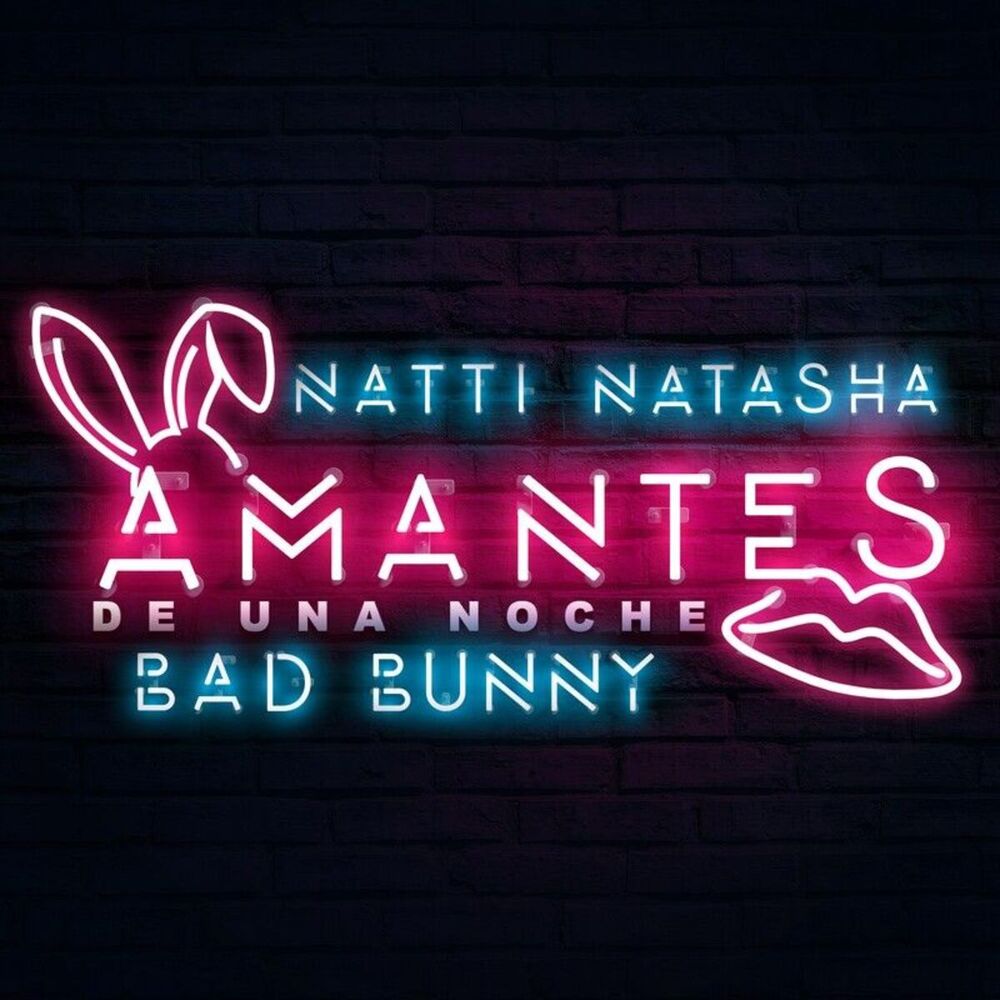 Portada de Amantes de una Noche