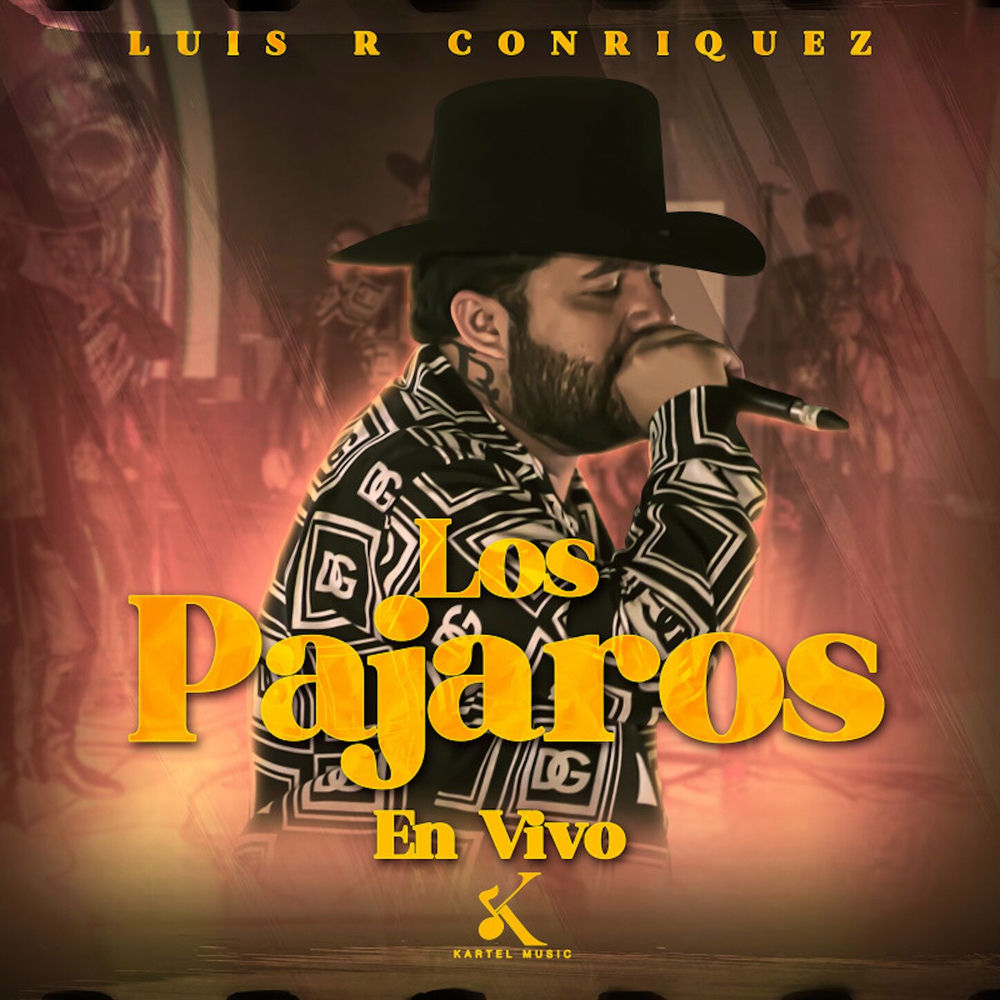 Portada de Los Pájaros (En Vivo)