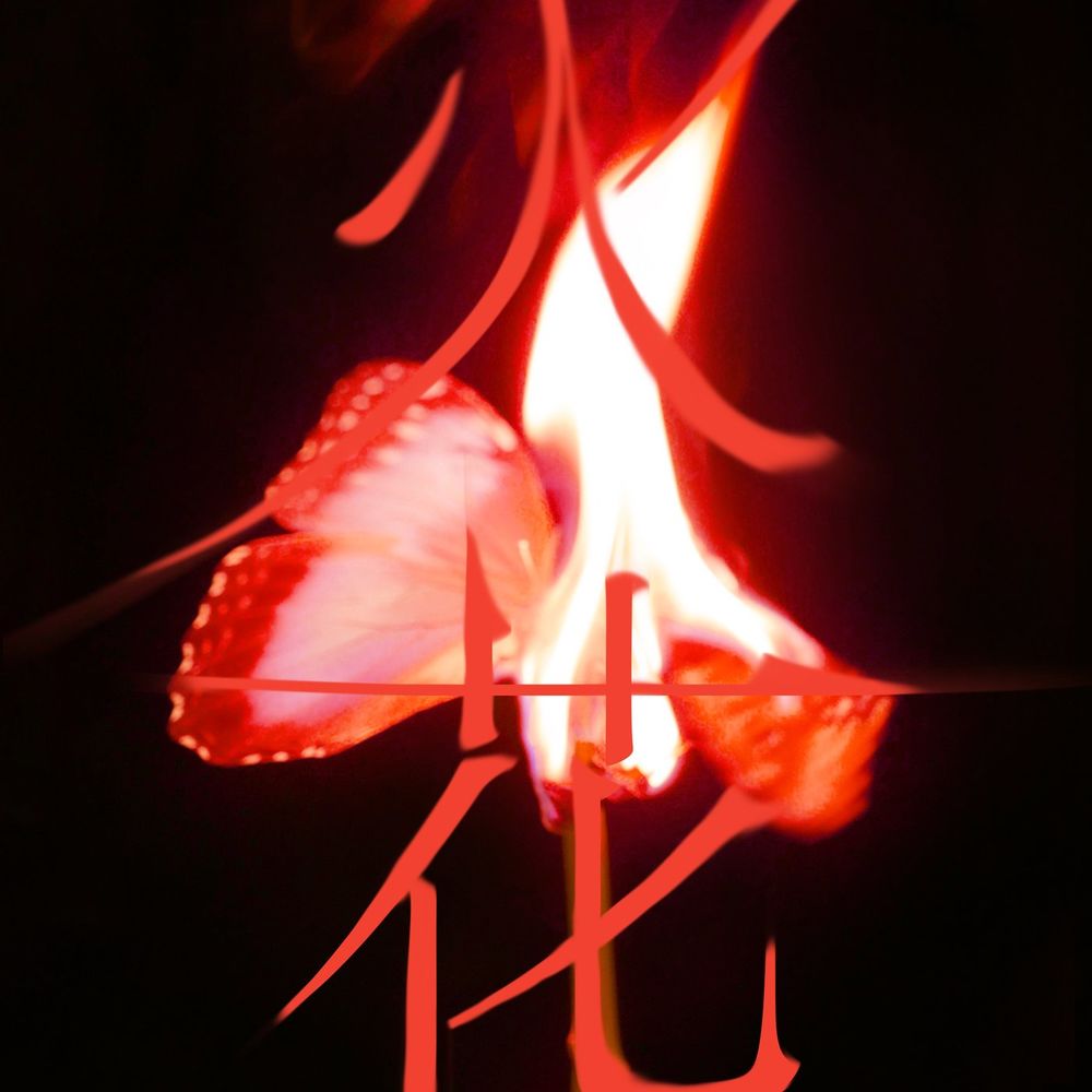 Portada de LOST