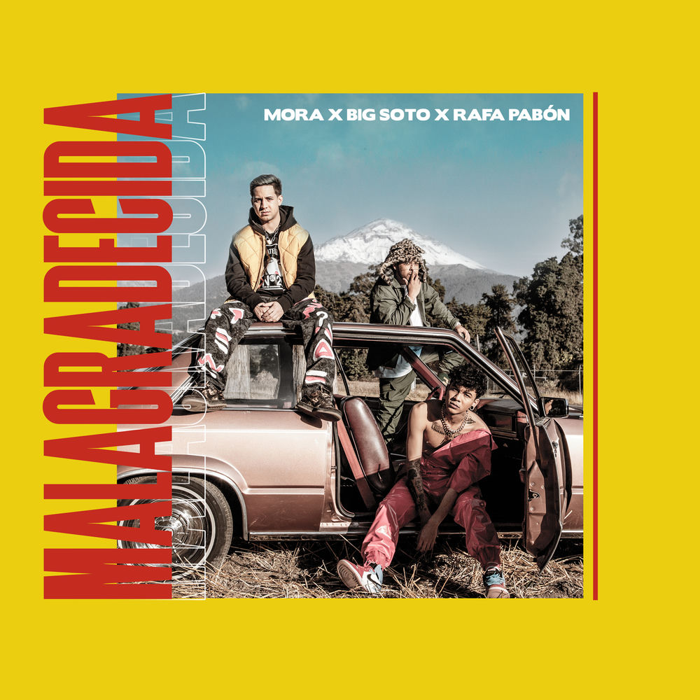 Portada de Malagradecida