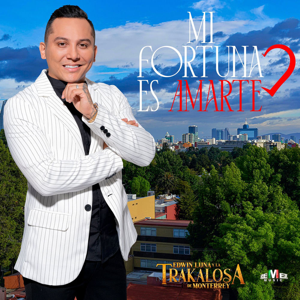 Portada de Mi fortuna es amarte