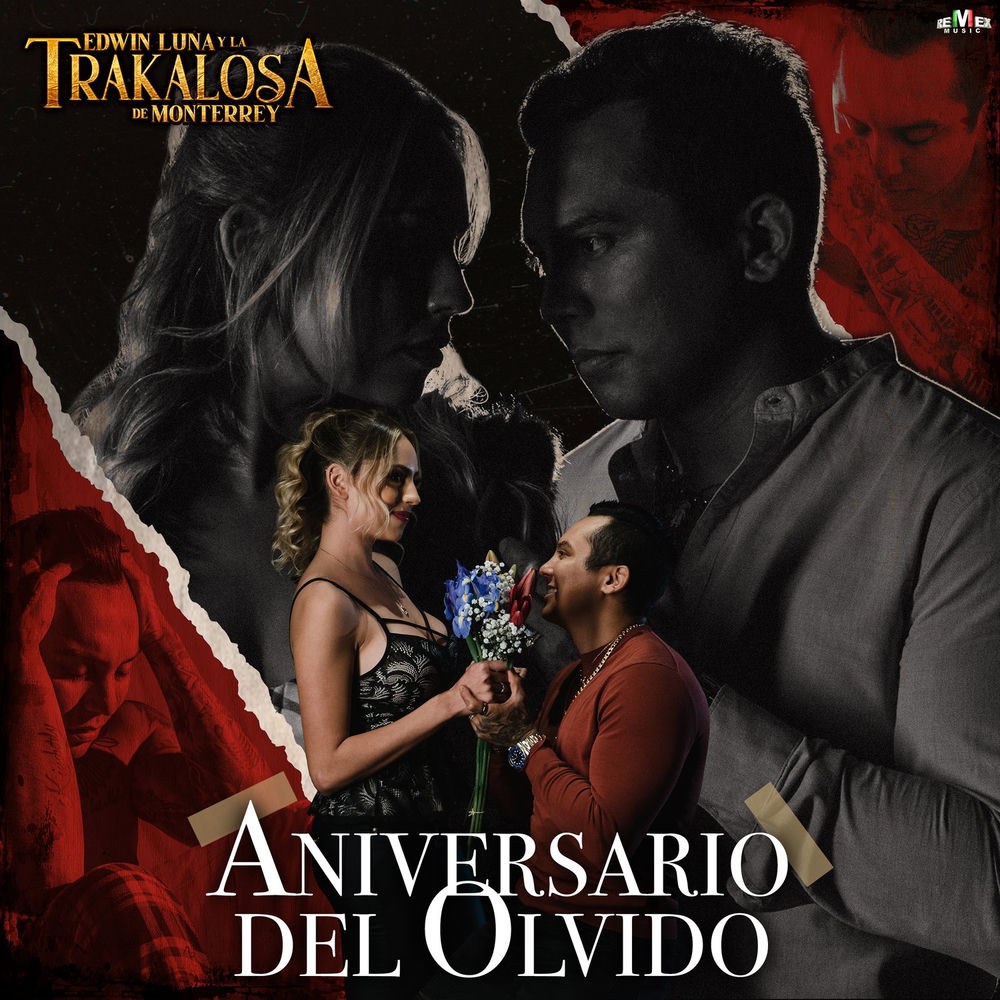 Portada de Aniversario del olvido