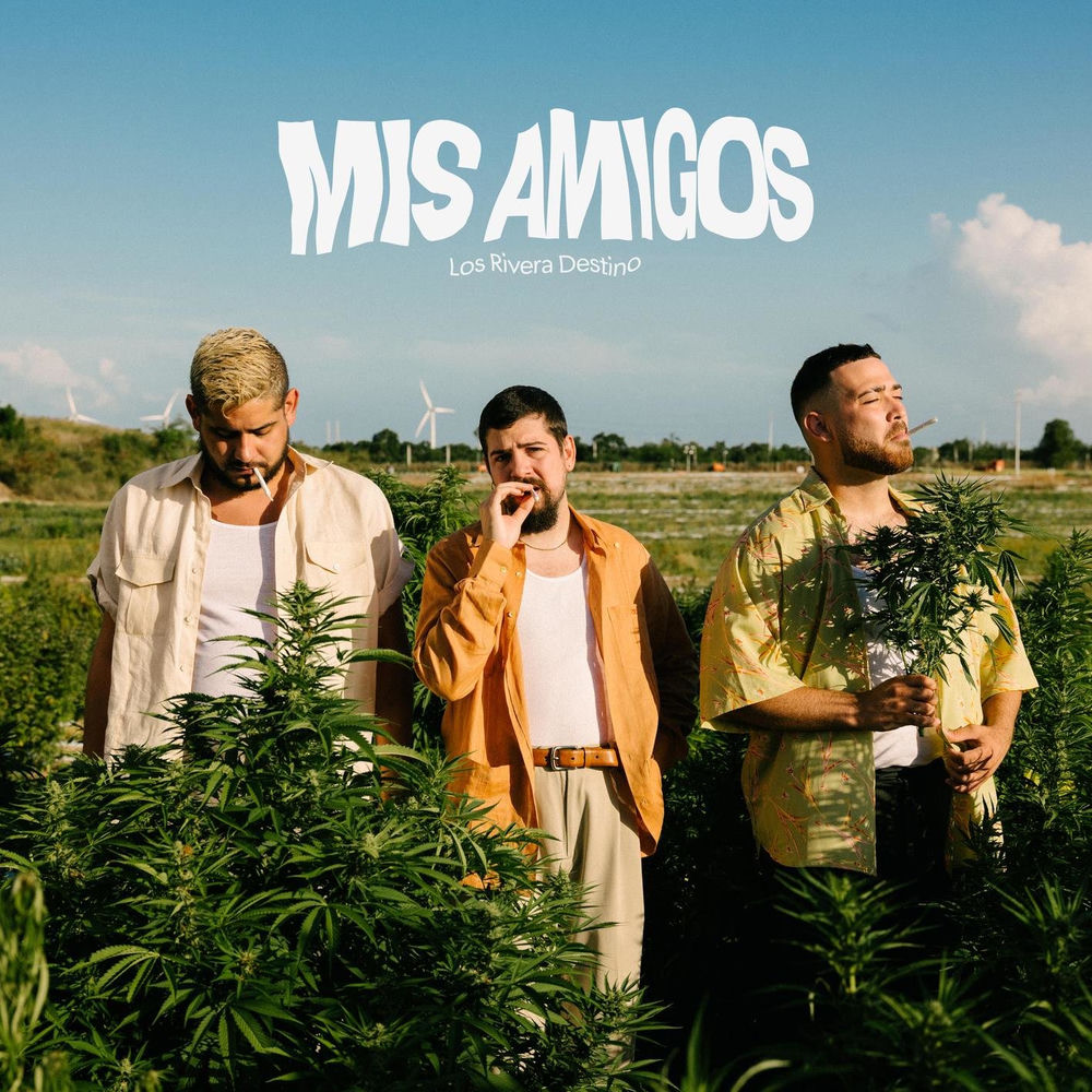 Portada de Mis Amigos