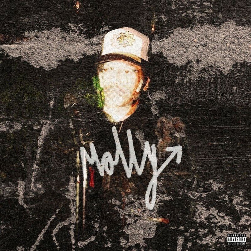 Portada de Molly