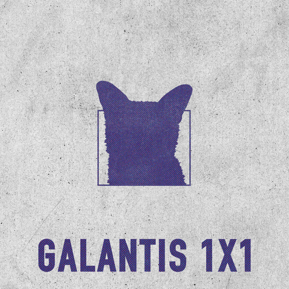 Portada de 1x1