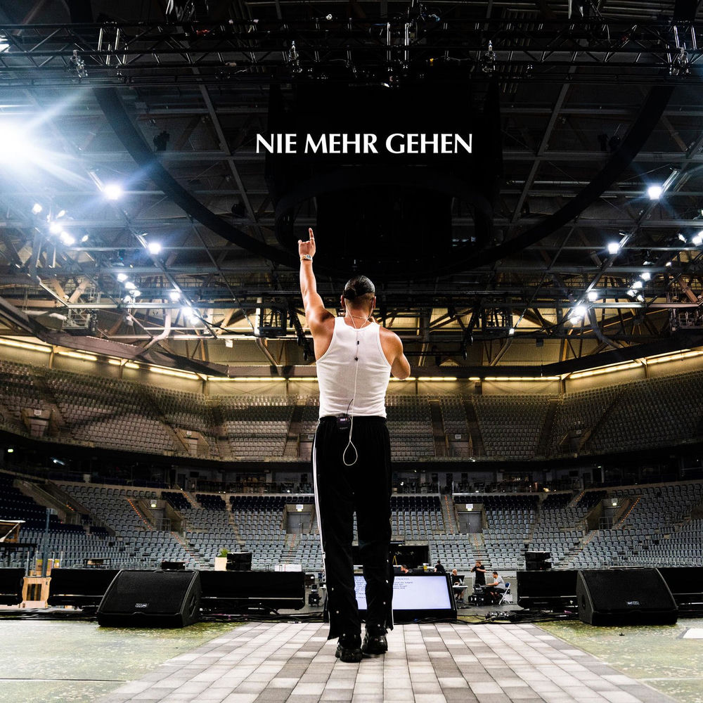 Portada de Nie mehr gehen