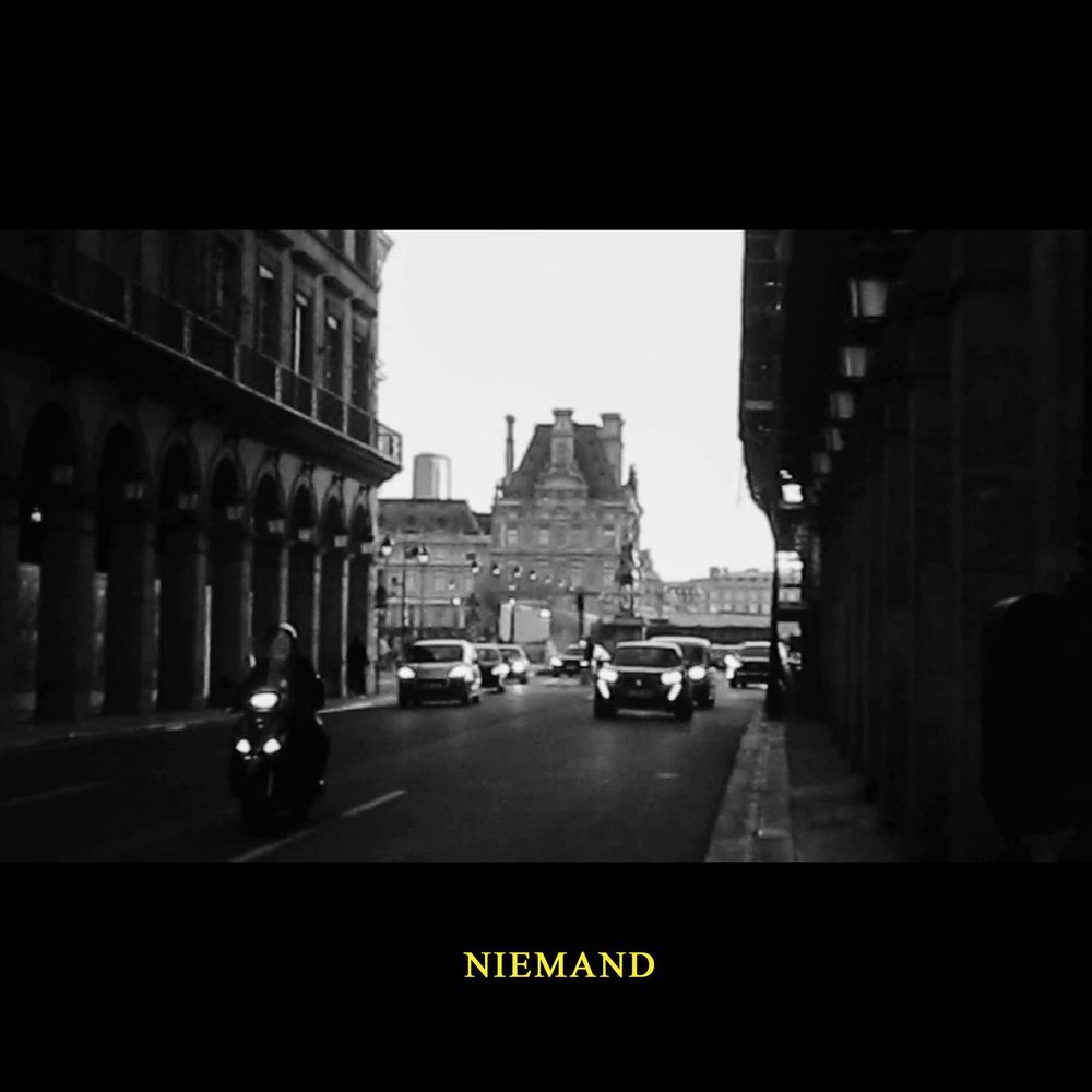 Portada de NIEMAND