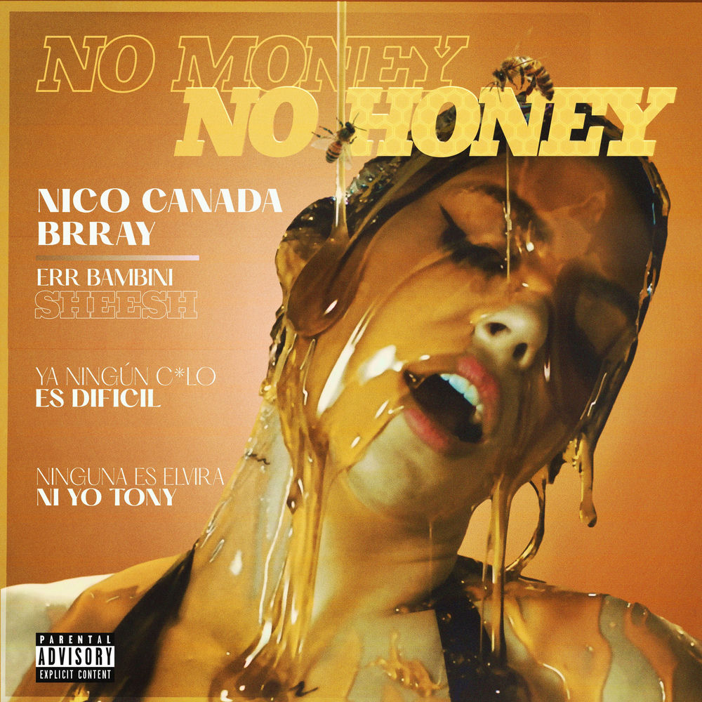 Portada de No Money No Honey