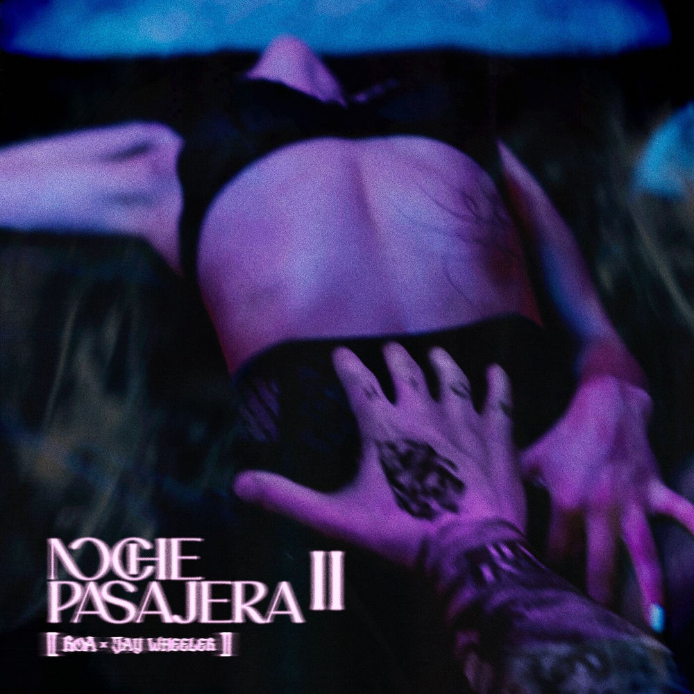 Portada de NOCHE PASAJERA II