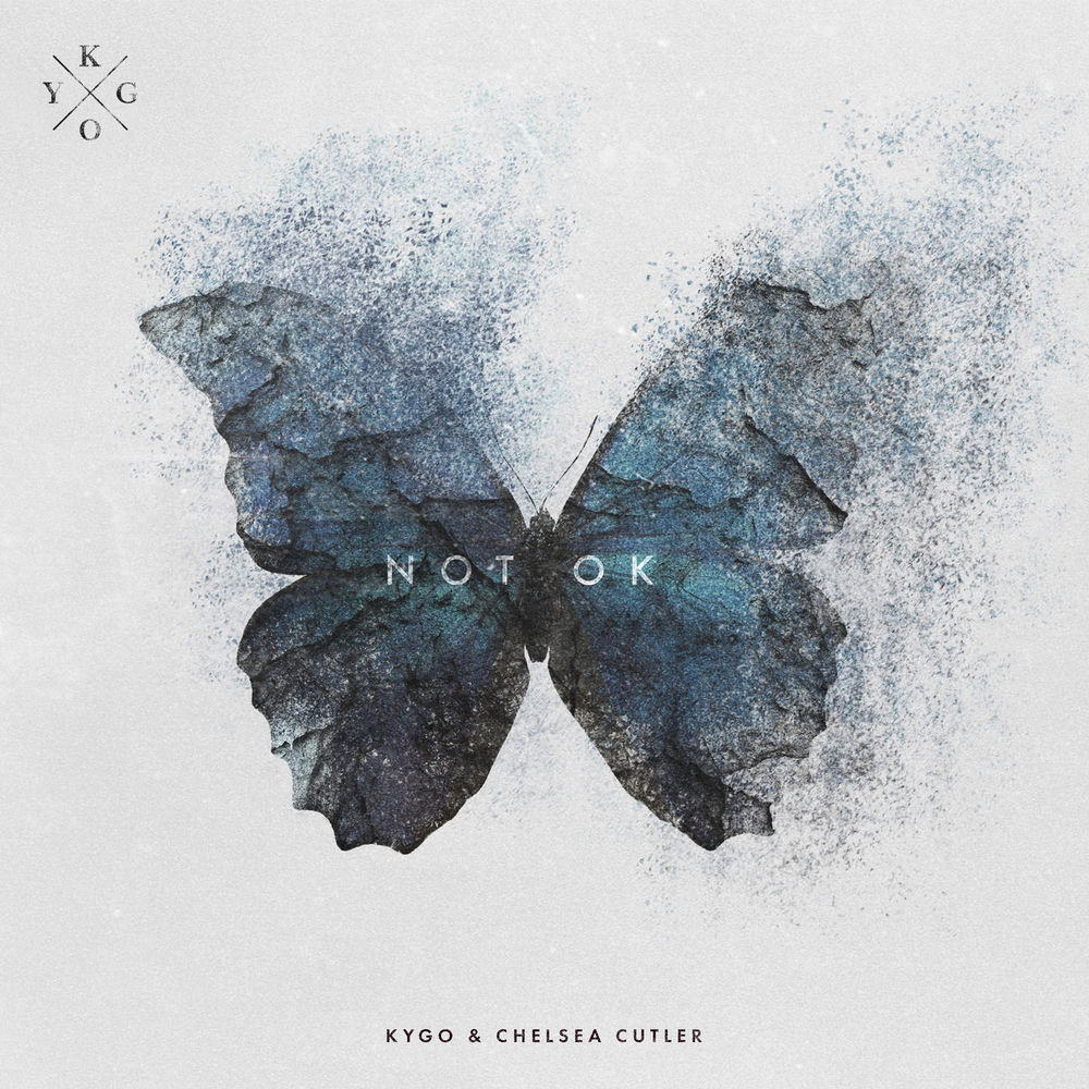 Portada de Not Ok