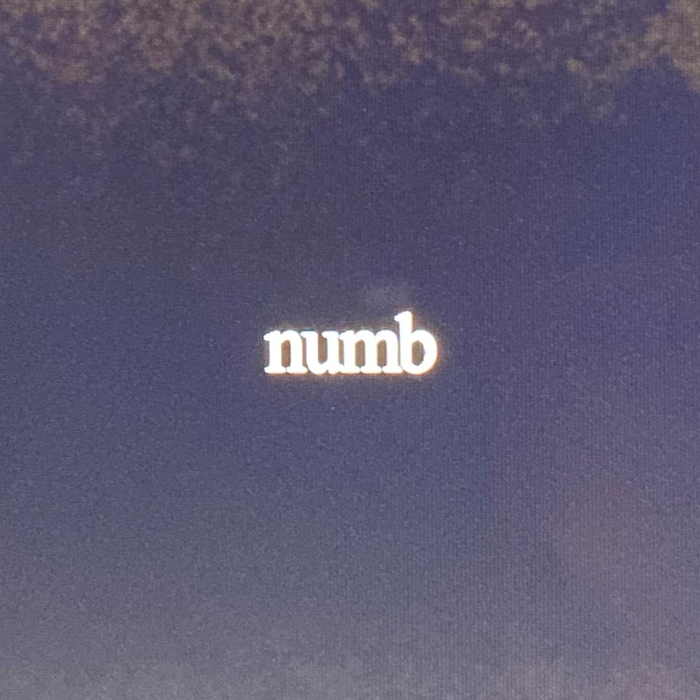 Portada de numb