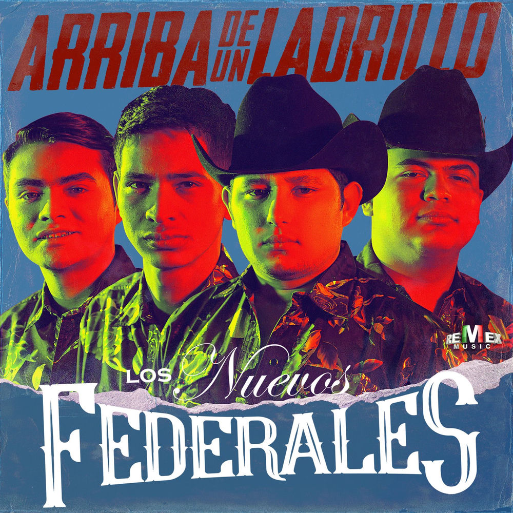 Portada de Arriba de un ladrillo