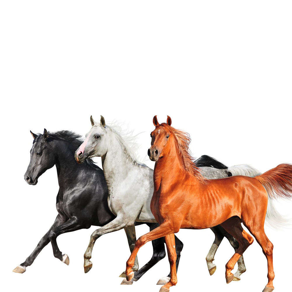 Portada de Old Town Road (Diplo Remix)