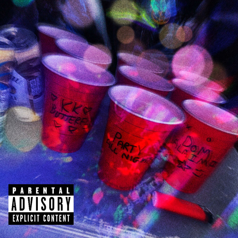 Portada de PARTY ALL NIGHT