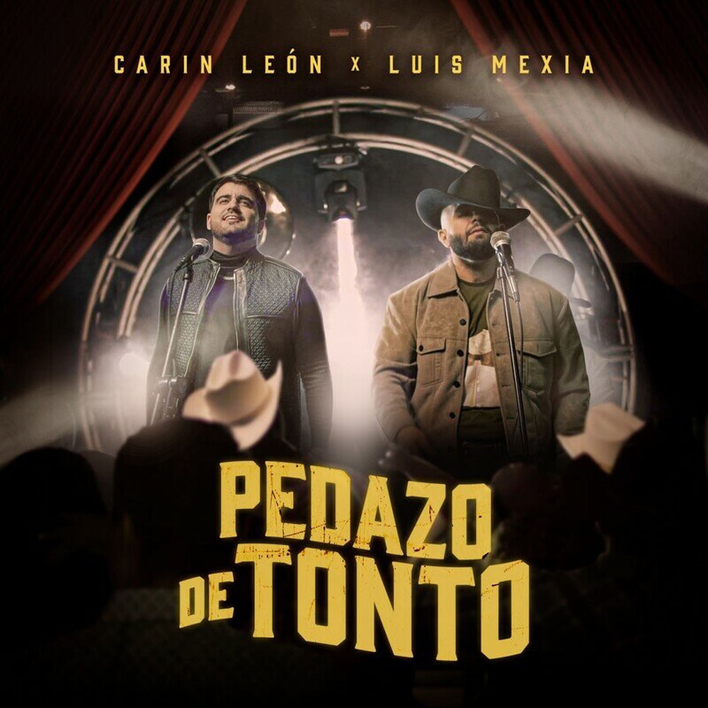 Portada de Pedazo de Tonto