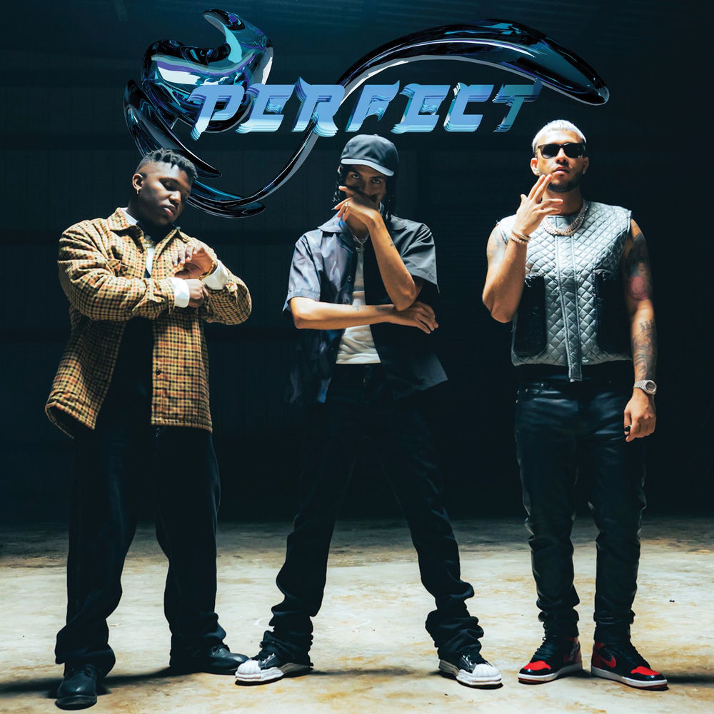 Portada de Perfect