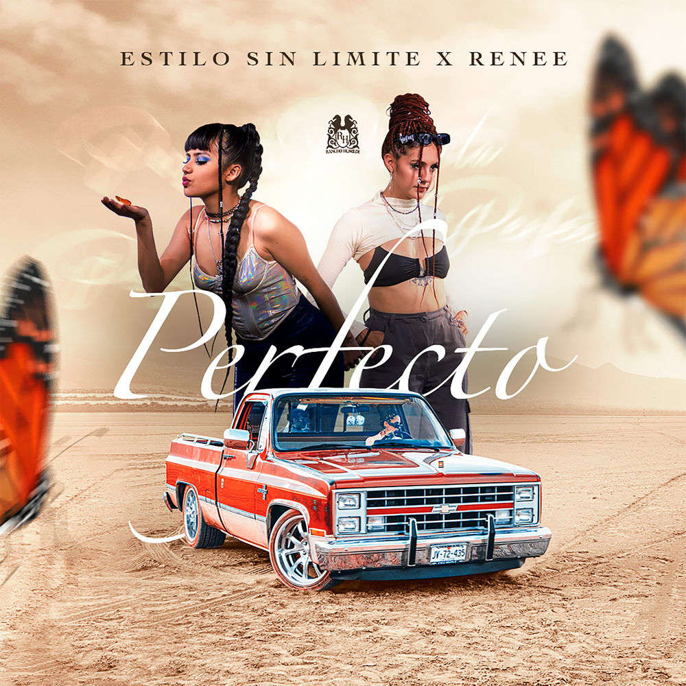 Portada de Perfecto