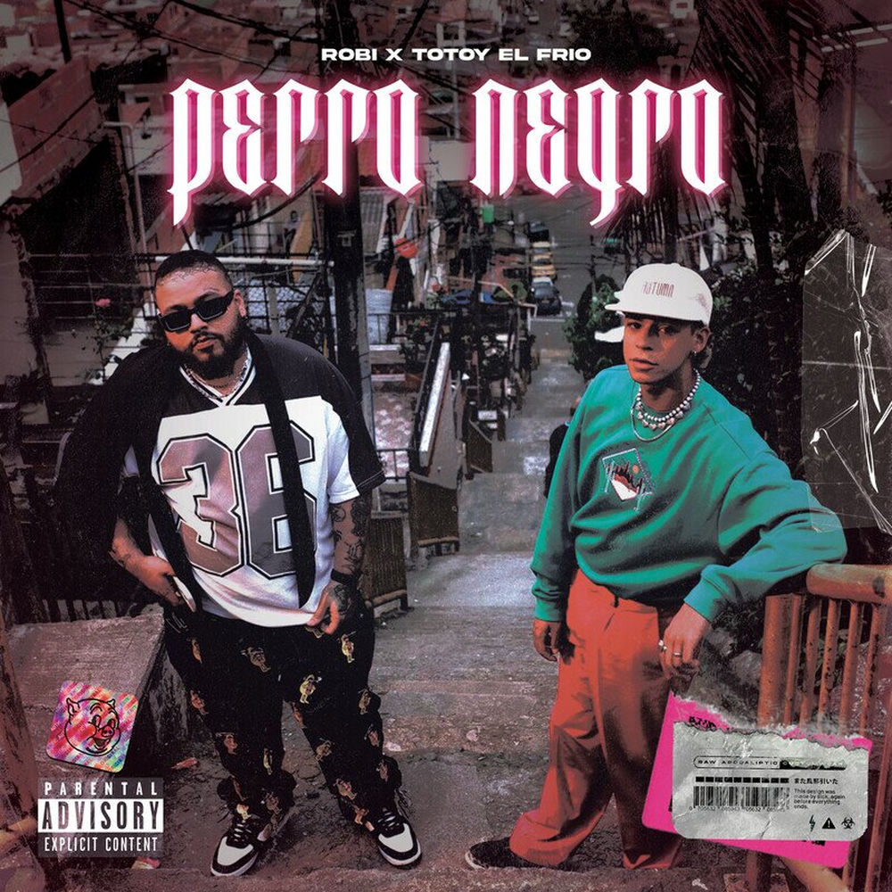 Portada de Perro Negro