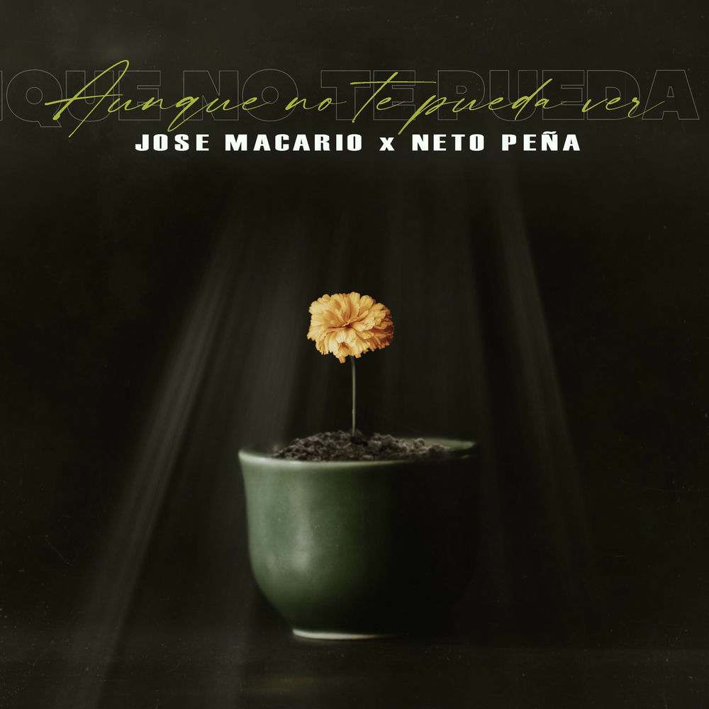 Portada de Aunque No Te Pueda Ver