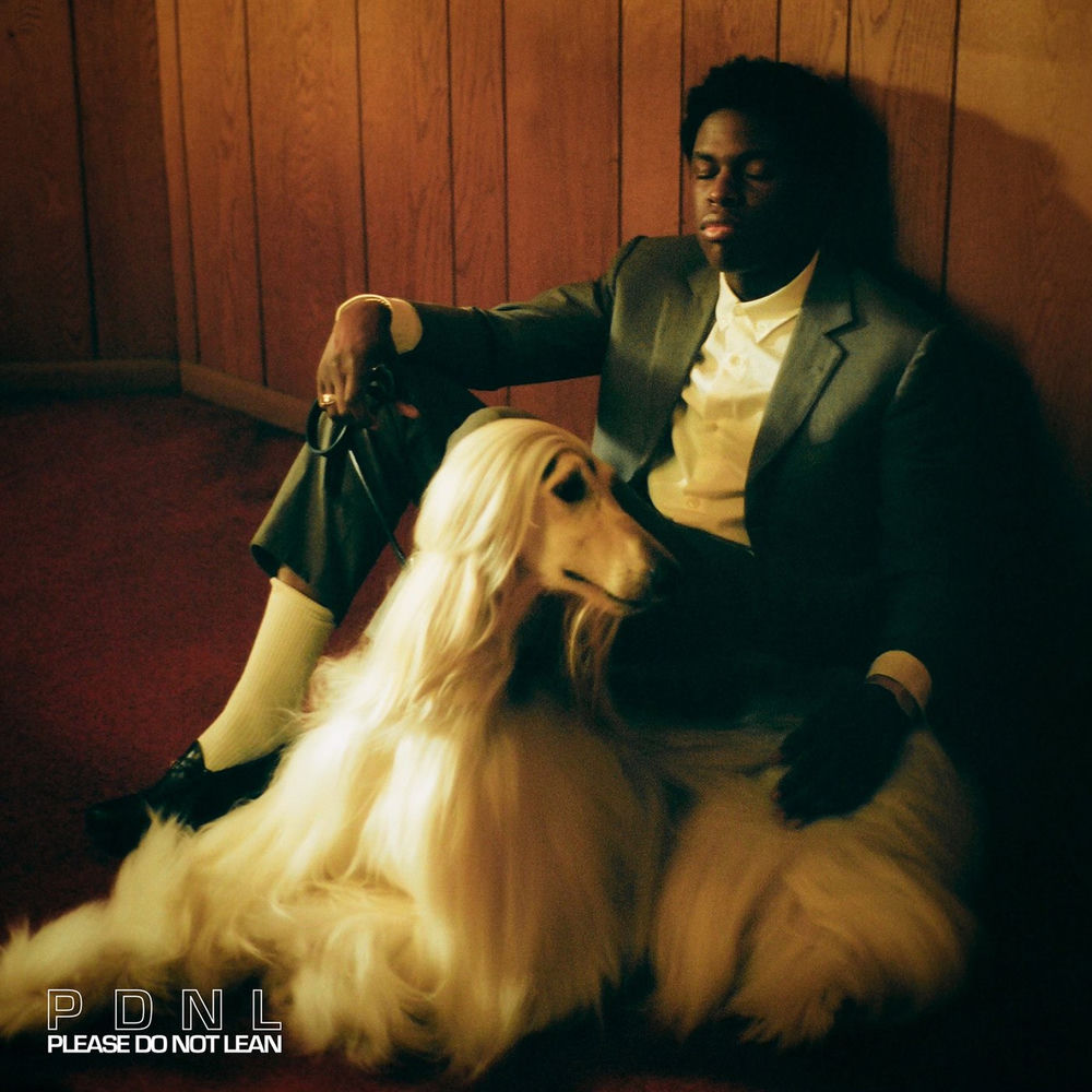 Portada de Please Do Not Lean