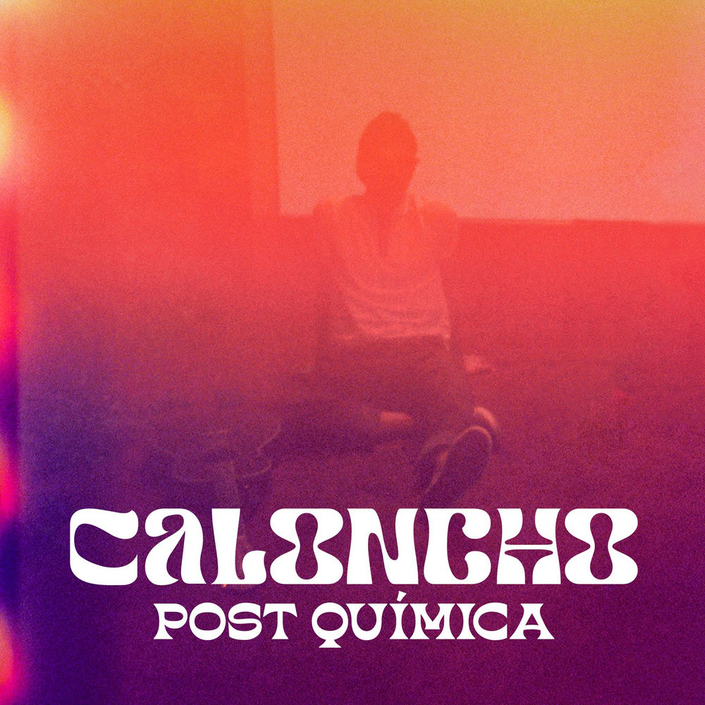 Portada de Post Química
