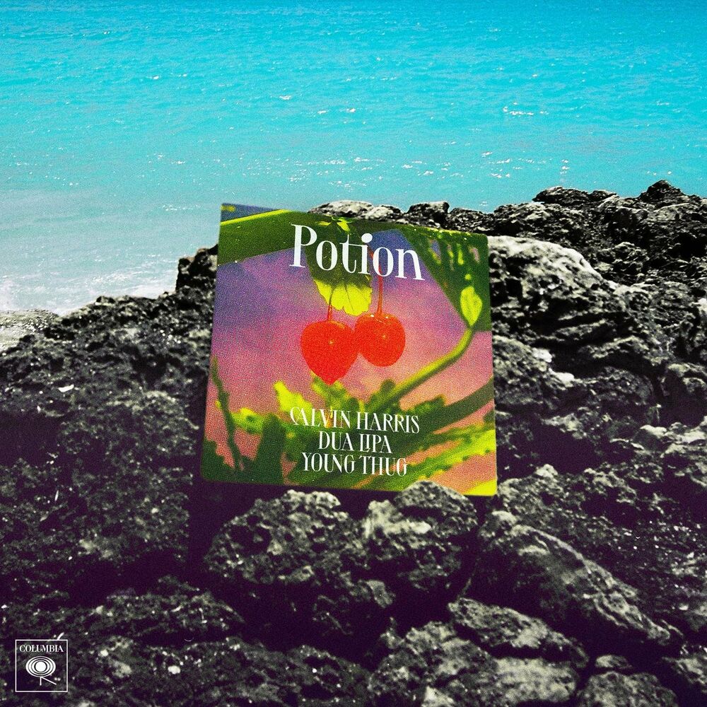 Portada de Potion