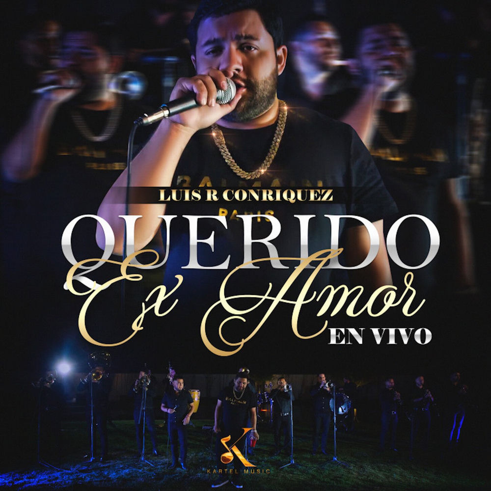 Portada de Querido Ex Amor (En Vivo)