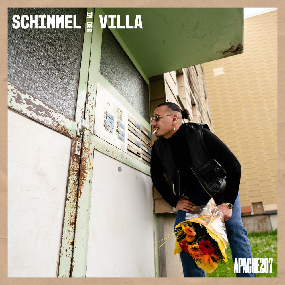 Portada de Schimmel in der Villa