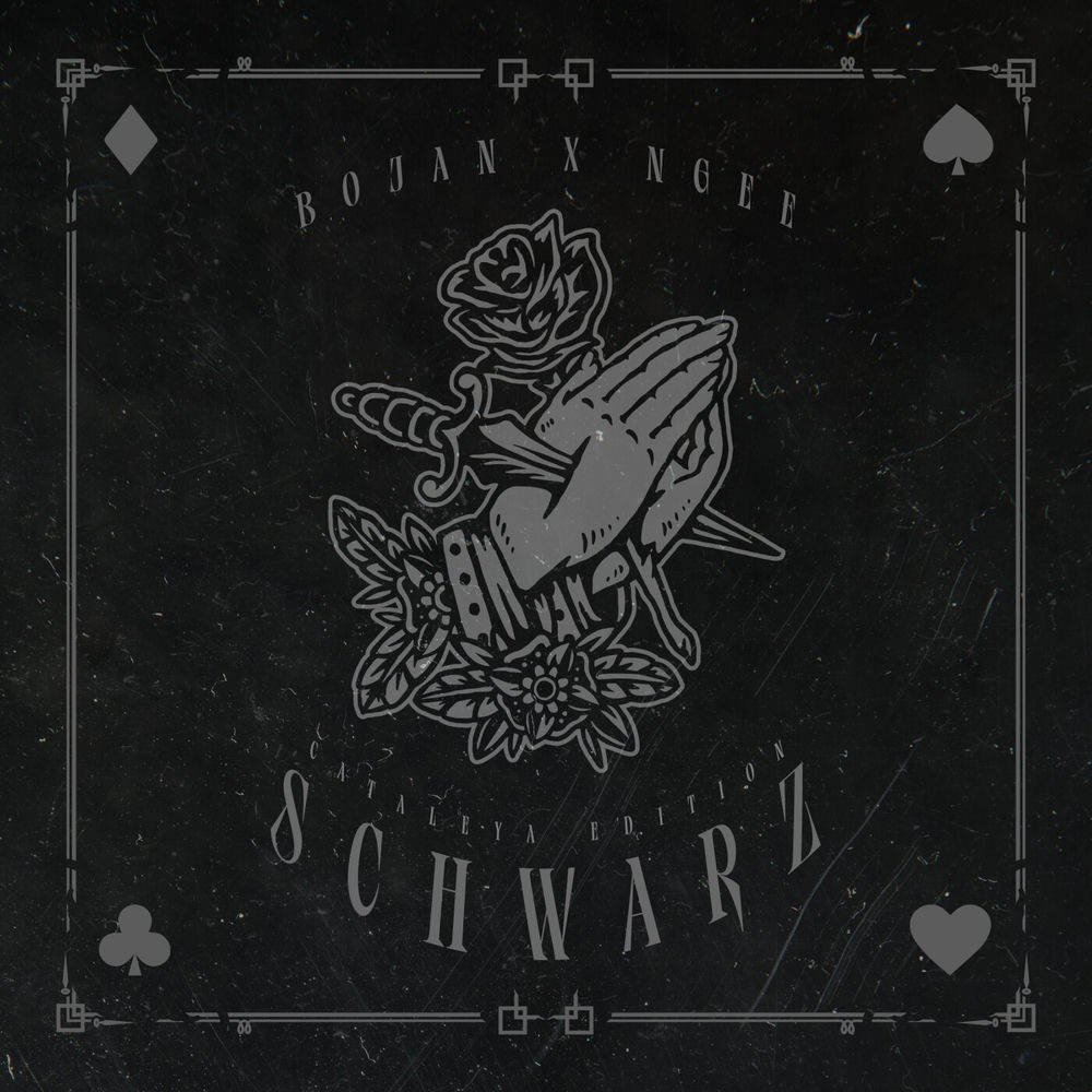 Portada de Schwarz