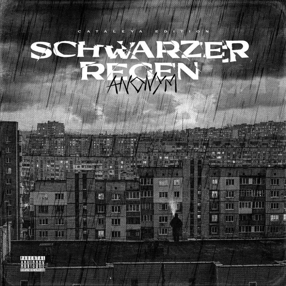 Portada de Schwarzer Regen