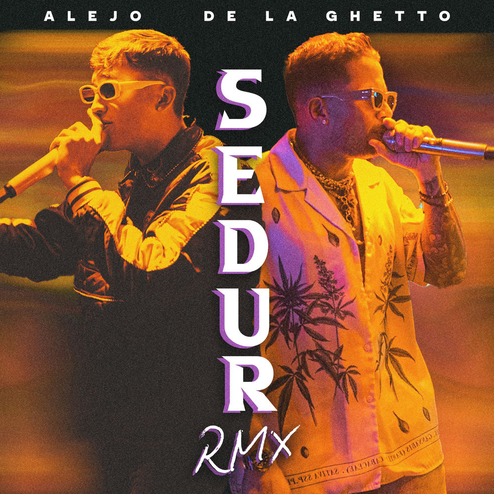 Portada de SEDUR (Remix)