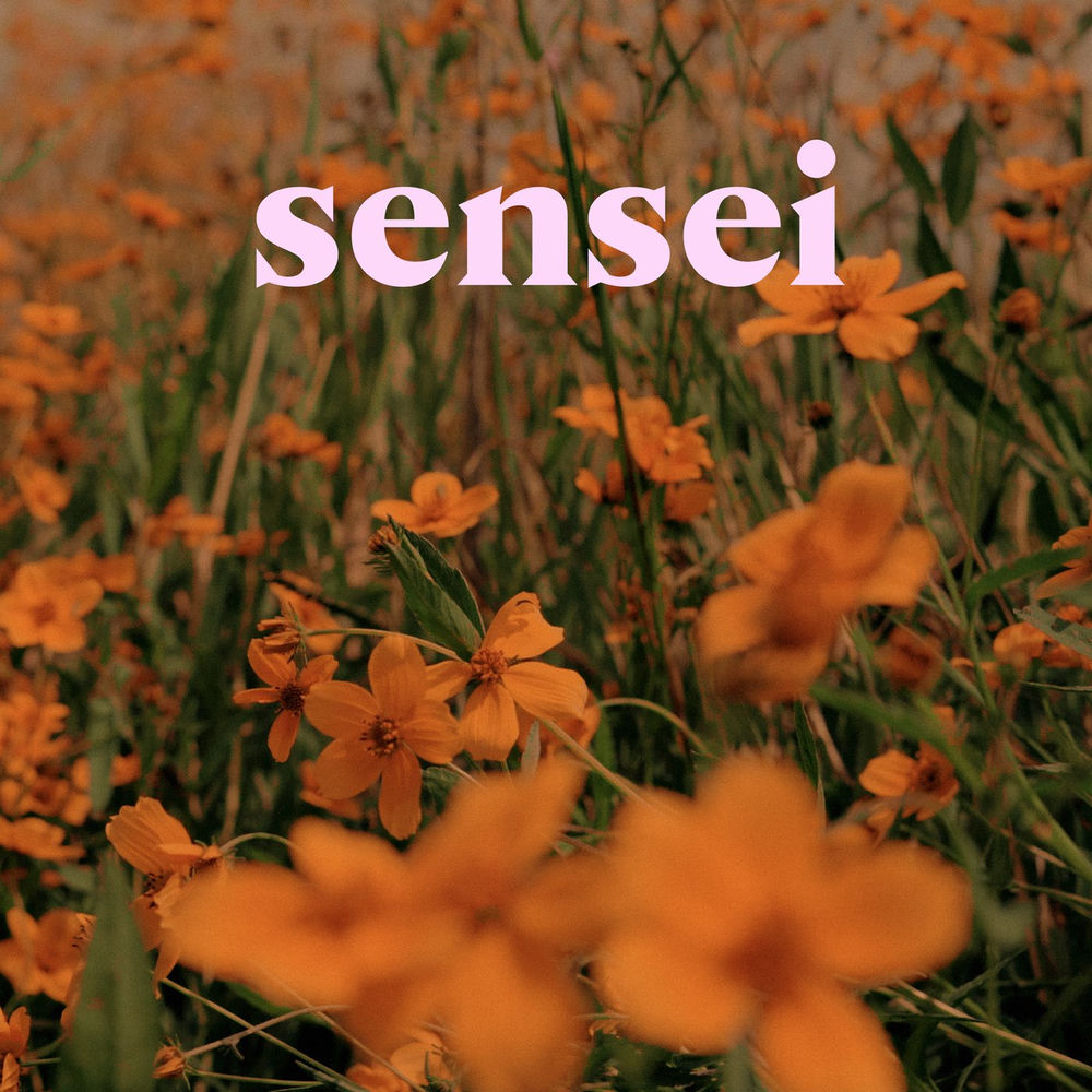 Portada de Sensei