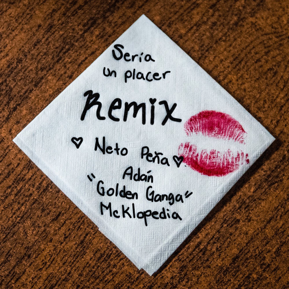 Portada de Sería Un Placer (Remix)