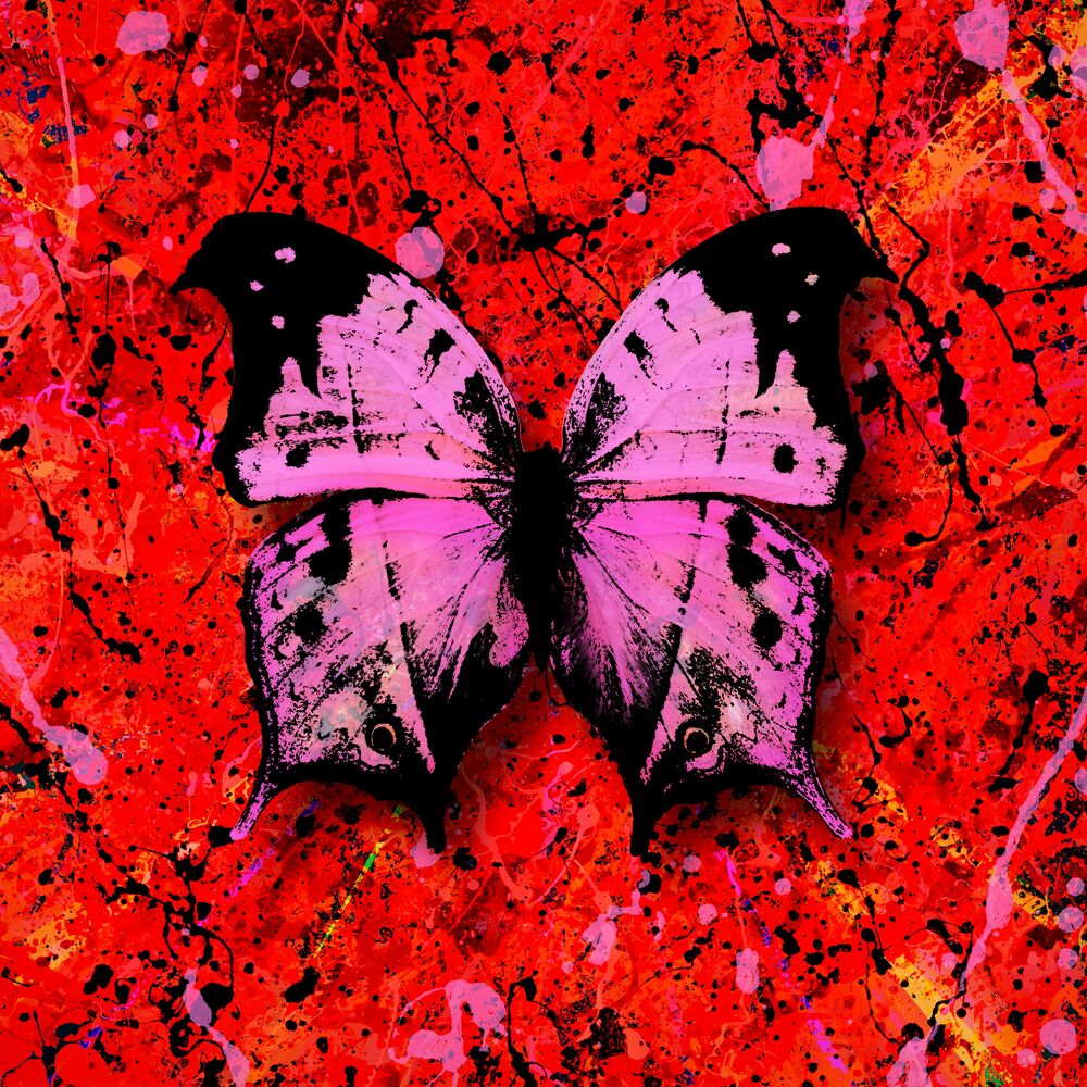 Portada de Bad Habits