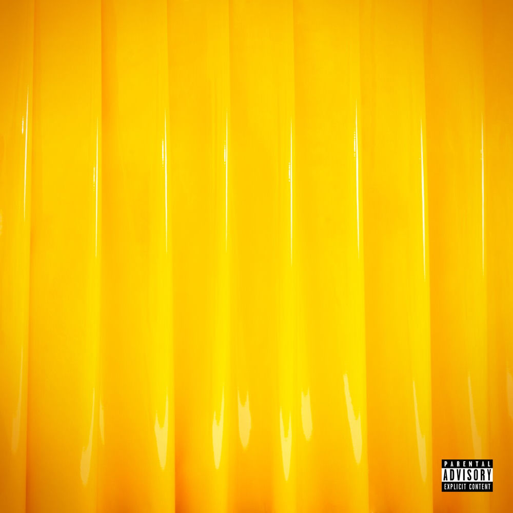 Portada de Shady