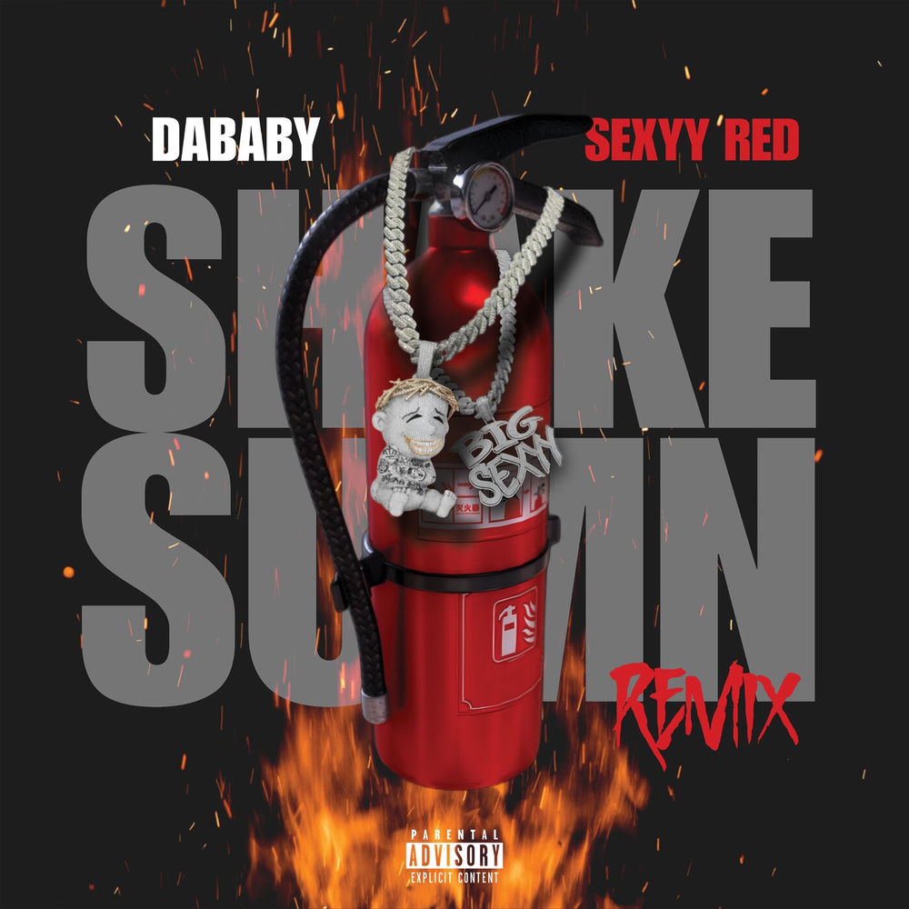 Portada de SHAKE SUMN (REMIX)