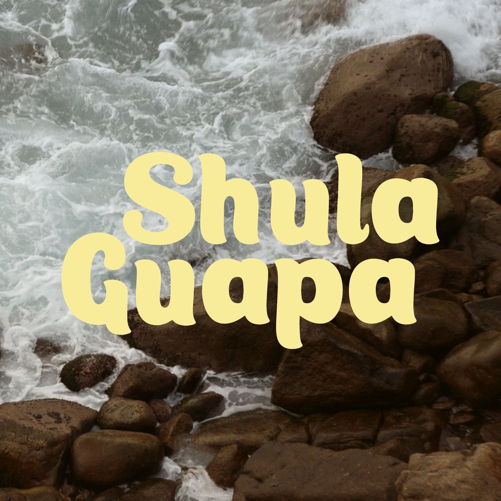 Portada de Shulaguapa
